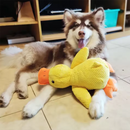 "Mother's Hug" Plush Duck for Dogs – Anti-Anxiety, Companion, and Boredom Relief for Puppies
