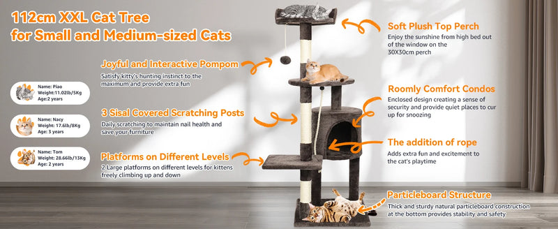 Passerscat Cat Trees Cat Climbing Frame For Indoor Cats Multi-Level With Scratching Posts Cat Tower Padded Top Perches and Condo
