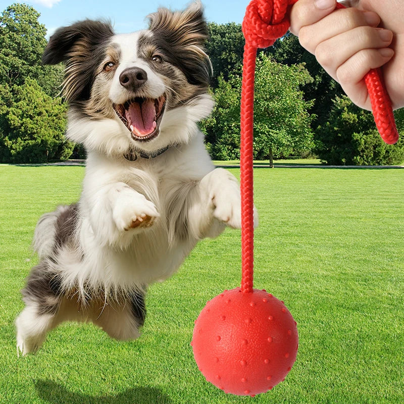 Indestructible Rubber Molar Ball with Rope for Dogs – Anti-Stress and Teeth Cleaning