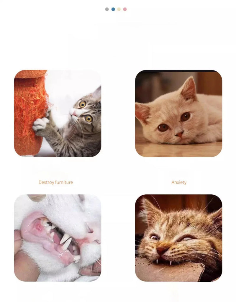 Plush Carrot Toy with Squeaker for Cats – Teething Stick, Anti-Anxiety, and Bite and Scratch Resistant