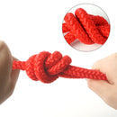 Indestructible Rubber Molar Ball with Rope for Dogs – Anti-Stress and Teeth Cleaning